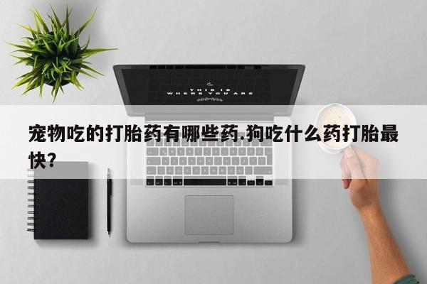 打胎药/堕胎药/流产药私人联系微信宠物吃的打胎药有哪些药.狗吃什么药打胎最快？