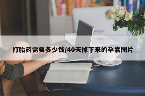 打胎药/堕胎药/流产药私人联系微信打胎药需要多少钱/40天掉下来的孕囊图片